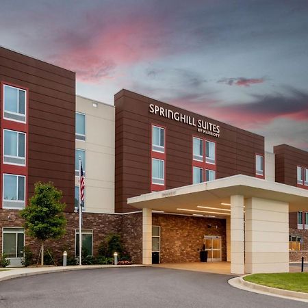 Springhill Suites Atlanta Alpharetta/Roswell Exterior foto